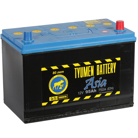 АКБ Tyumen Battery Asia 95 Ач о/п D31L